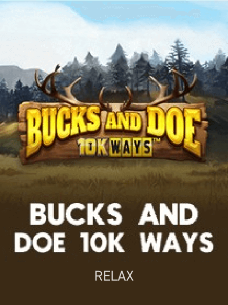 Blackjack Strategy Hub: Insights from Professional Players